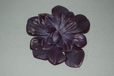 Aquarium or Vivarium Fish