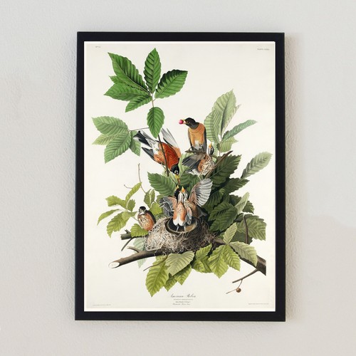Vintage birds illustration - vintage,