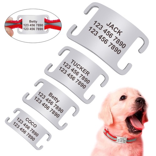 Slide engraved pet dog - slide,