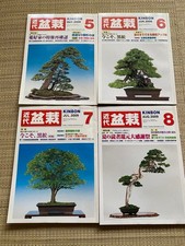 Modern Bonsai Magazines Set of