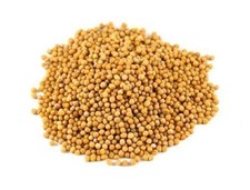 Yellow Mustard Seeds Whole A Grade Premium Quality Free UK P & P