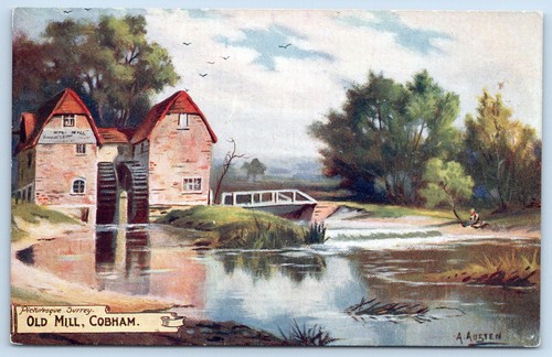 Cobham surrey postcard - cobham,