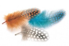 Guinea Fowl Plumage Hackles, Fly Tying, Fishing Fly, 2g pack