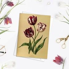 Vintage Greeting Card