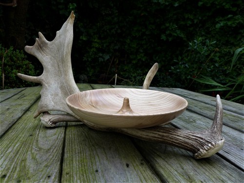 Wooden dish for snack fallow - for,