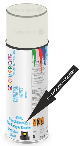 Aerosol spray paint for - aerosol,