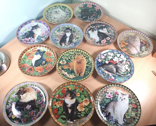 Cats among the flowers - cats,