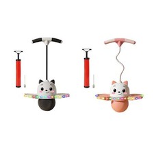 Pogo Ball with Handle Exercise