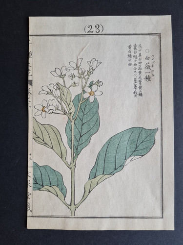 Antique 1890 japanese - antique,
