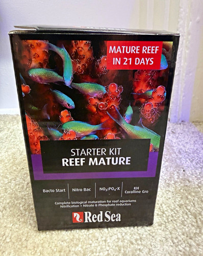Red sea reef mature - reef,