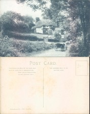 Old cottages in Studland