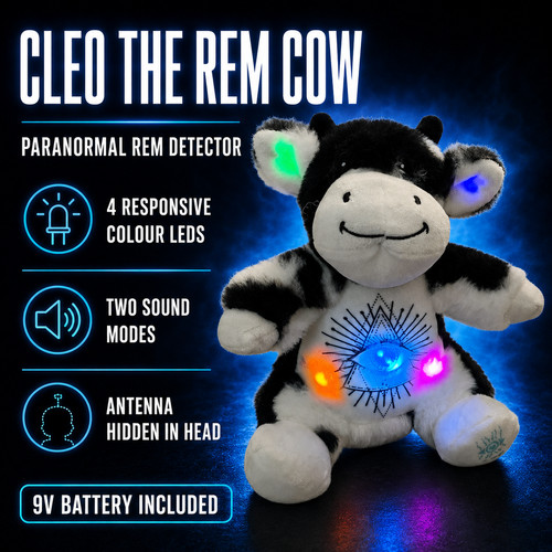 Rem bear toy - rem, sensor
