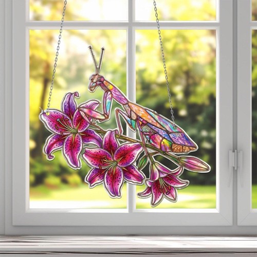 Pink mantis orchid flower - on,