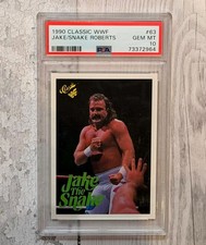 Jake The Snake Roberts 1990