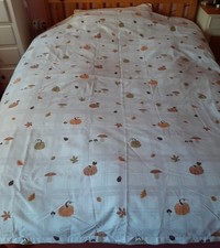 Autumn Pumpkins Mushrooms