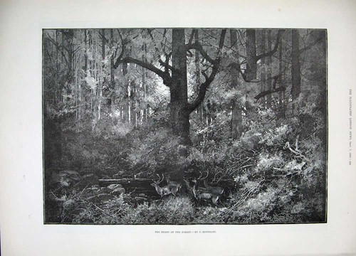 Original old antique print - original,