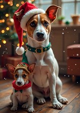 Jack Russell Terrier Dogs