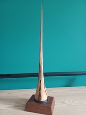 Taxidermy marlin fish bill - fish,