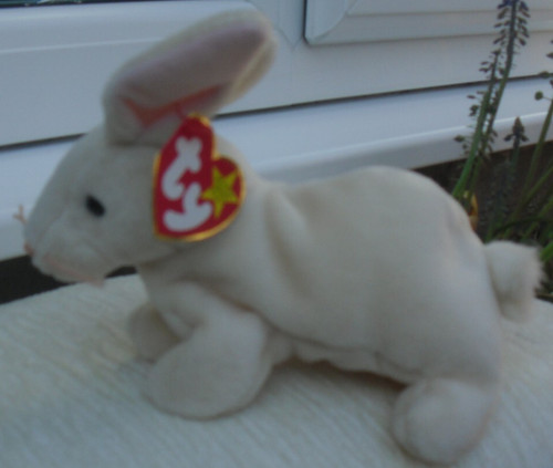 Lovely rabbit nibbler with - rabbit,