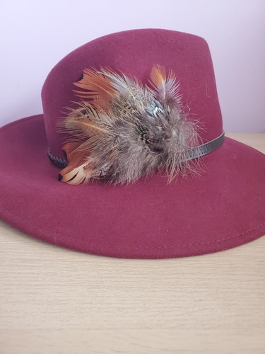 Pheasant feathers hat - feathers,