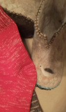 Alpaca fleece commercially
