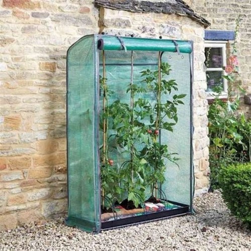 Smart garden tomato grozone - garden,