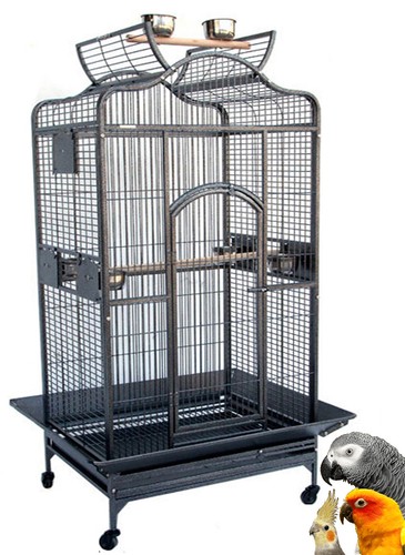 Extra large parrot open play - parrot,