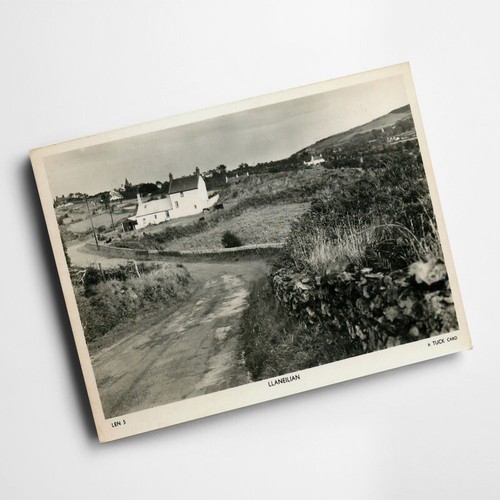 Print vintage wales - print,