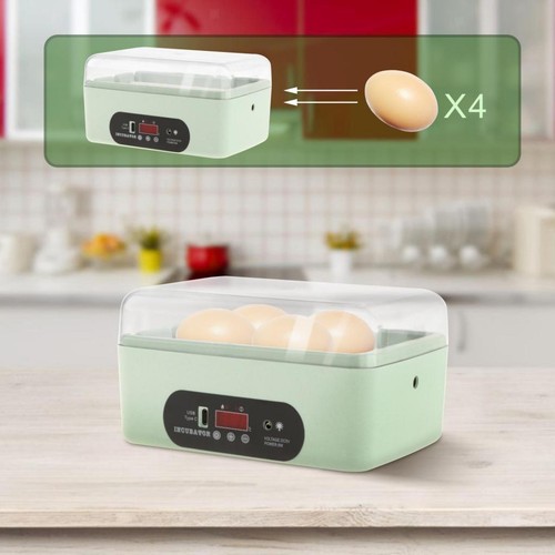 Chicken eggs incubator - eggs,