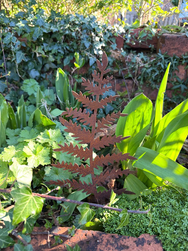 Rust fern metal garden - fern,