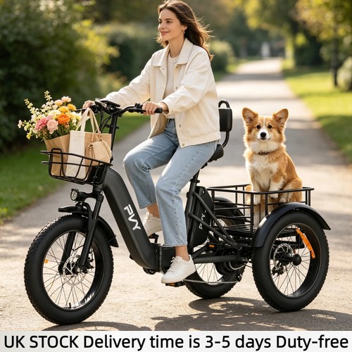 Pvy folding electric trike - folding,