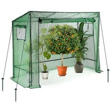 Walk-in Garden Tomato