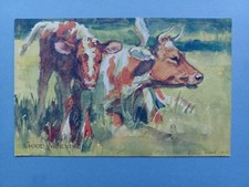 LOVELY C1920s PC GUERNSEY COW