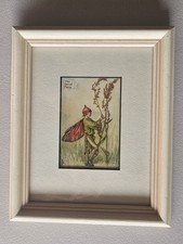 The Sorrel Fairy Vintage