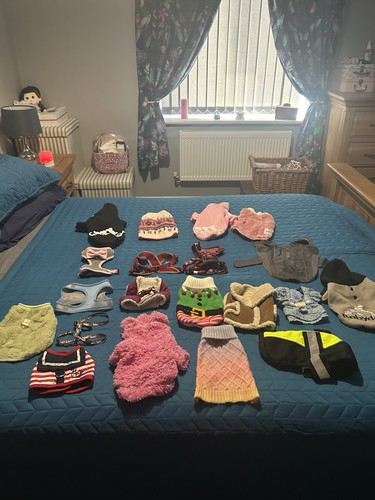 Chihuahua size jumpers - size, /coats