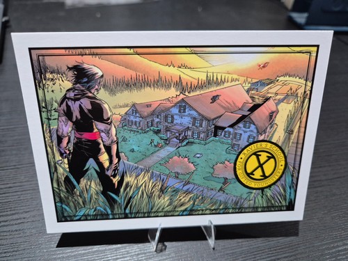 Panini into the marvel - panini,