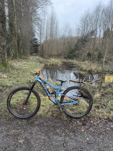 Vitus escarpe vr - escarpe, 29