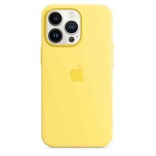 New geniune apple - apple, 13