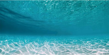 48X24 Inches Undersea Aquarium