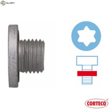 SCREW PLUG OIL SUMP 220110S