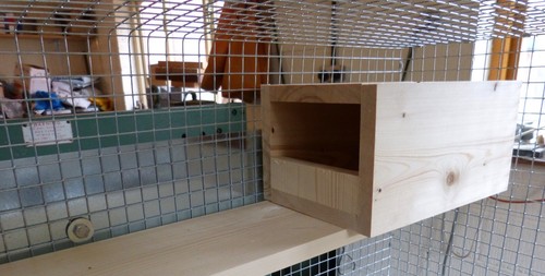Nestbox double top quality - double,,