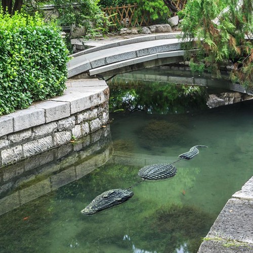 Pool floating crocodile - crocodile, water