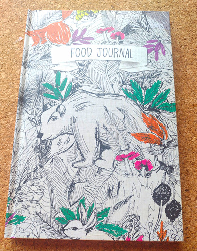 Food journal notebook - food,