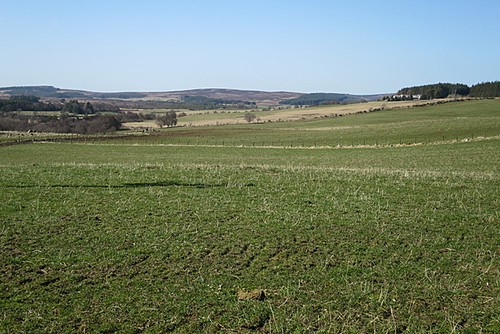 Photo 6x4 featureless fields - photo,