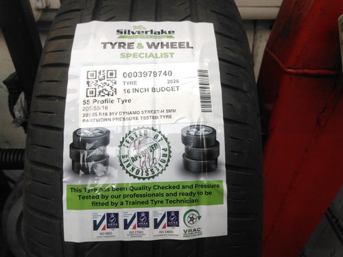 205 r16 91v dynamo - 91v, street-h