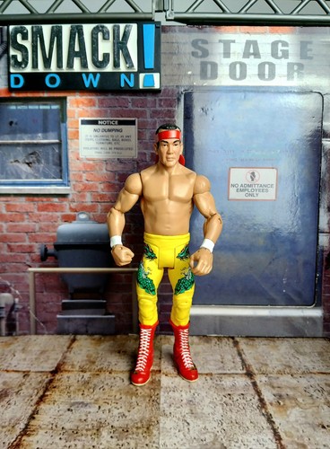 Wwe ricky the dragon steam - ricky,
