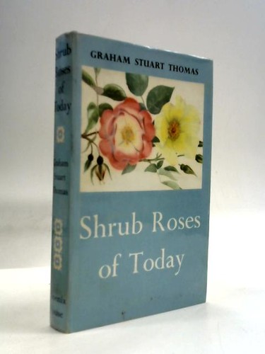 Shrub roses today graham - roses, today.