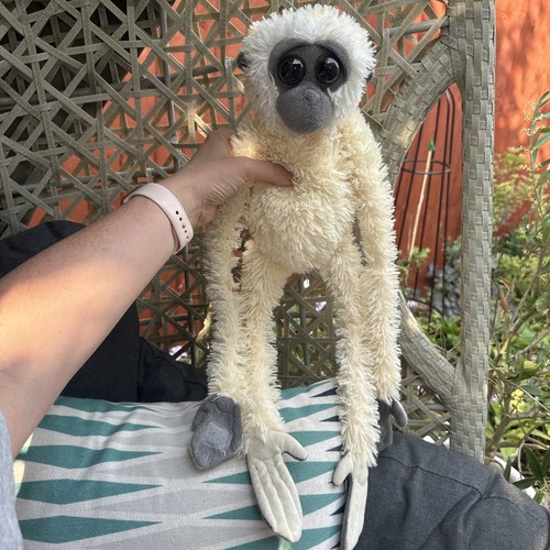 Nature planet gibbon long legs - planet,