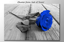 LARGE FRAMED CANVAS WALL ART  BLUE & GREY ROSE PICTURE STUNNING NEW PRINT FLOWER