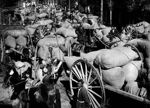 Caravan transport the - caravan,